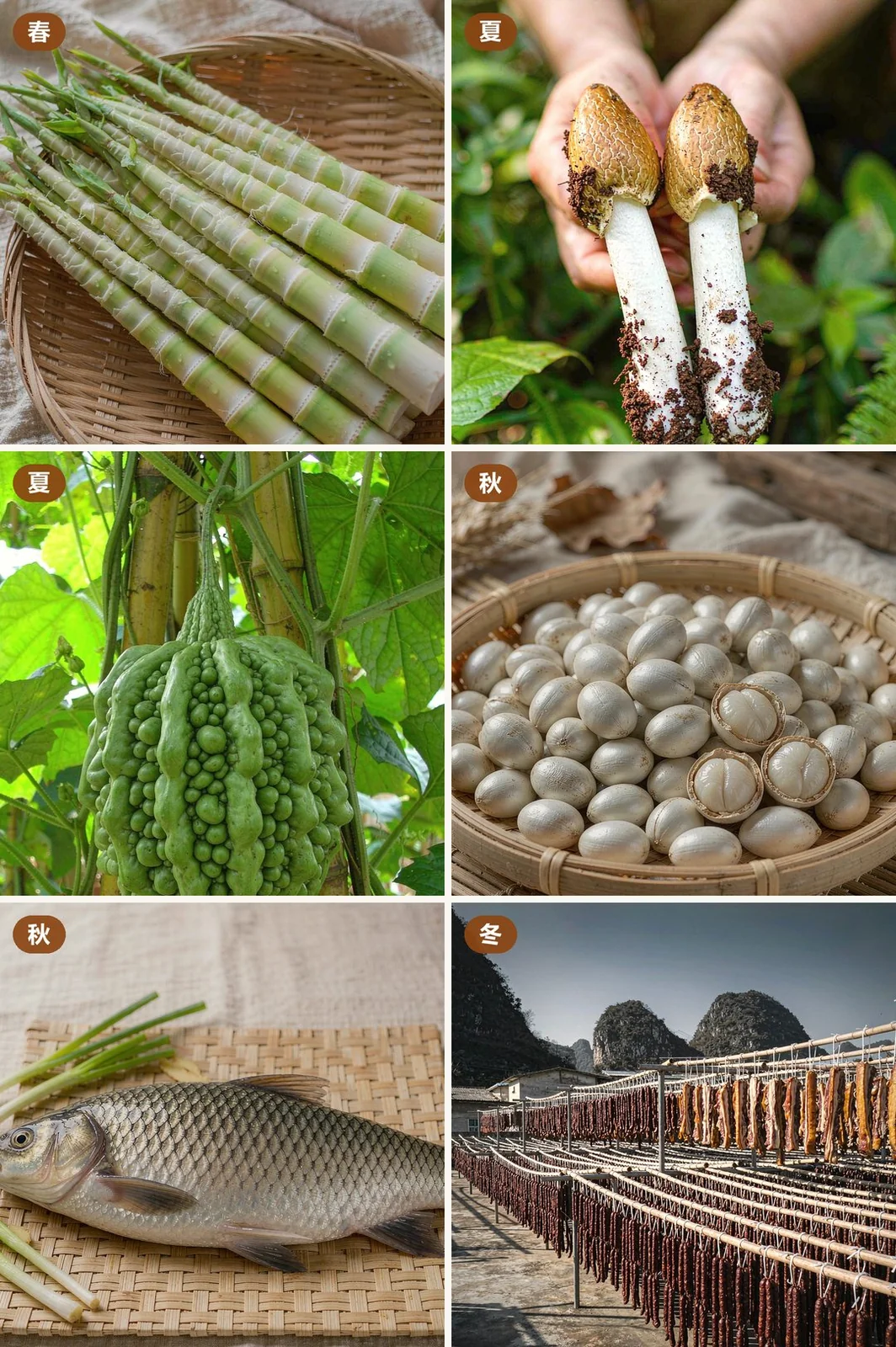 广东四季代表性食材六格:春笋、荔枝菌、雷公凿凉瓜、南雄白果、文庆鲤、东陂腊味